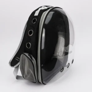 Home skatrstoys 2024 06 05t161634.077 600x