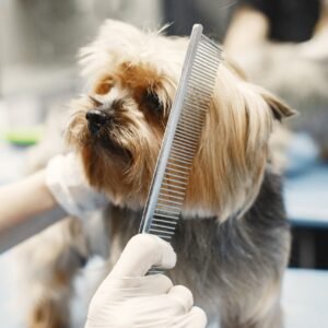Grooming